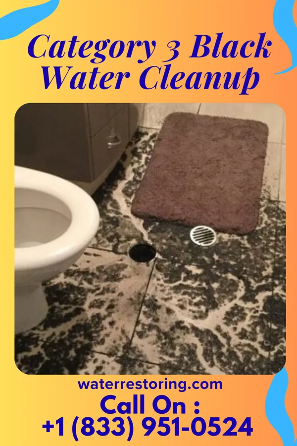 Category 3 Black Water Cleanup in Oakwood, PA