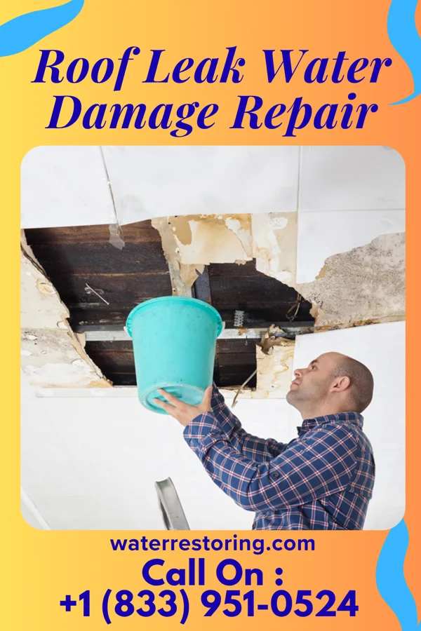 Roof Leak Water Damage Repair in Oakwood, PA