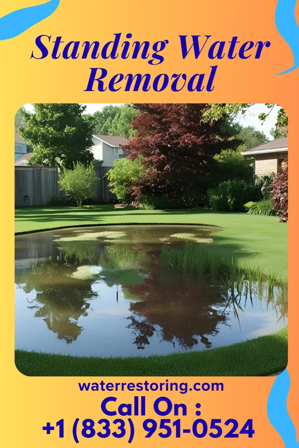 Standing Water Removal in Oakwood, PA